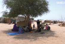 Le récap’ Sahel de la dernière semaine de novembre 2023