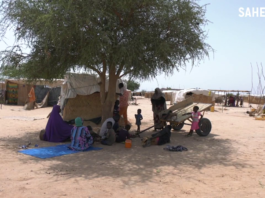 Le récap’ Sahel de la dernière semaine de novembre 2023