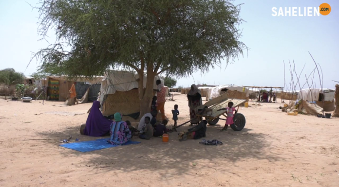 Le récap’ Sahel de la dernière semaine de novembre 2023