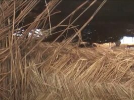 Niger: le gouvernement décide «l’interdiction formelle des classes en paillotes au niveau du préscolaire»