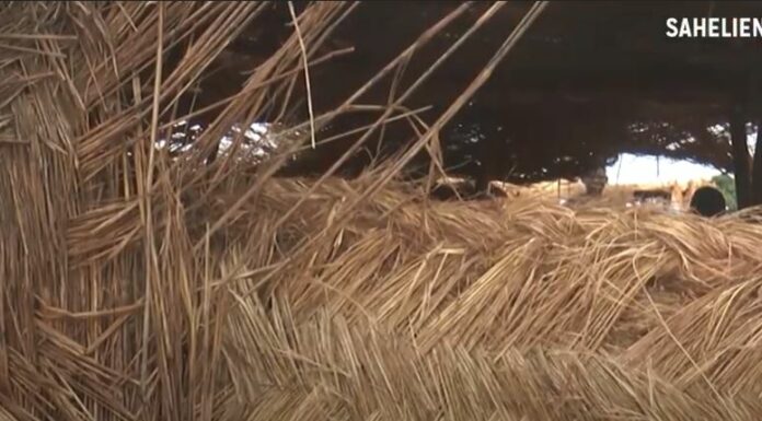 Niger: le gouvernement décide «l’interdiction formelle des classes en paillotes au niveau du préscolaire»