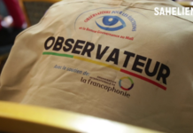 Mali: des questions autour de l’organe unique de gestion des élections