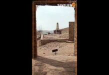 Mali-France: « La situation que nous traversons n’a pas commencé aujourd’hui »