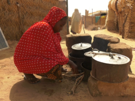 Niger : à Tillabéri, la menace terroriste aggrave l’insécurité alimentaire
