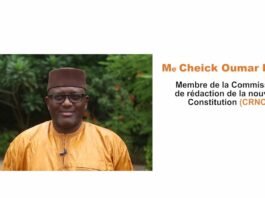 Mali : la Constitution en questions (1/5)