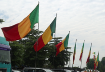 Abdoulaye Fofana : « Il faut connaître et respecter le drapeau »