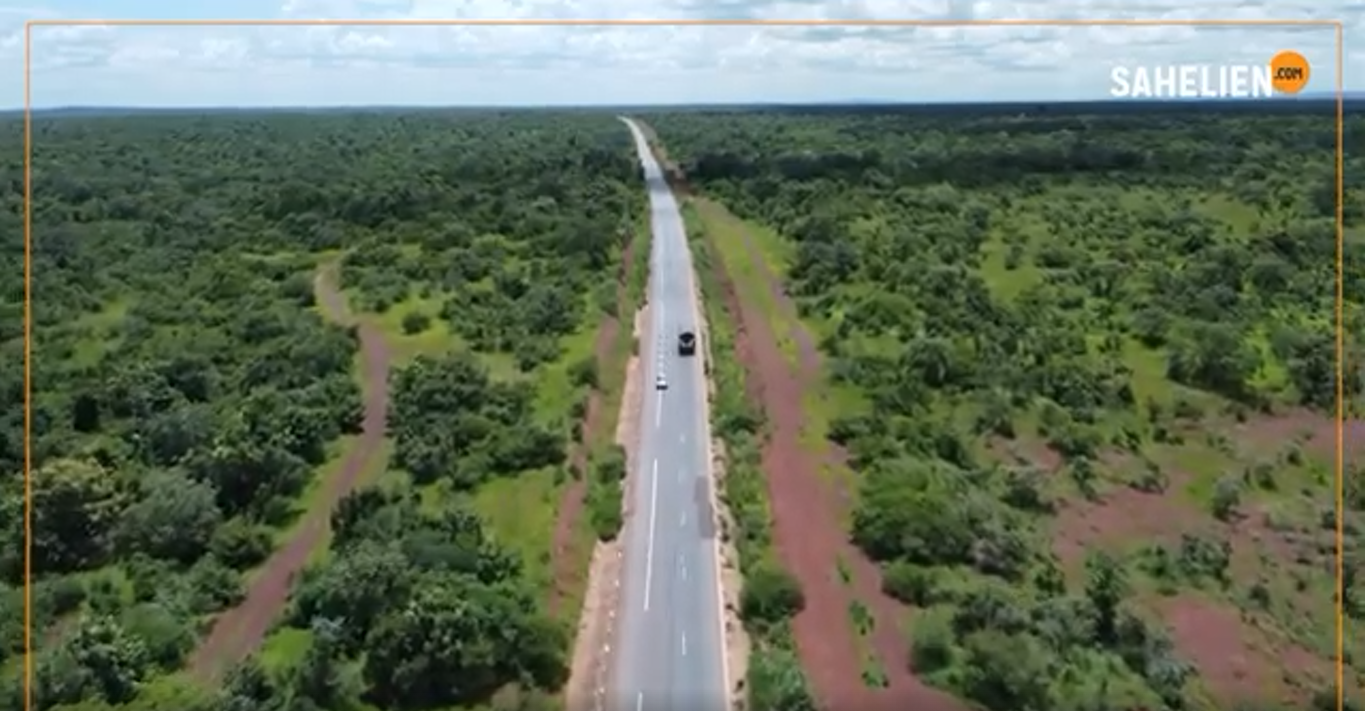 Forêt classée de la Faya, le poumon de Bamako qui s'étouffe