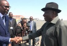 Mali : le médiateur de la CEDEAO à Bamako en prélude au sommet d’Abuja