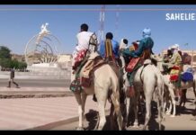 Tombouctou : le dromadaire, « l’assurance-vie » pour les nomades