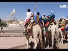 Tombouctou : le dromadaire, « l’assurance-vie » pour les nomades