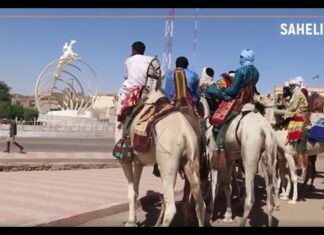 Tombouctou : le dromadaire, « l’assurance-vie » pour les nomades