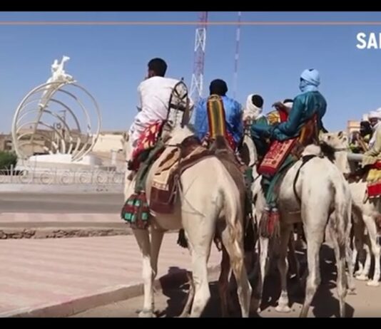 Tombouctou : le dromadaire, « l’assurance-vie » pour les nomades