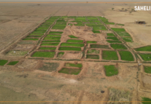 Sahel : le récap de la semaine du 12 au 16 décembre