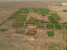 Sahel : le récap de la semaine du 12 au 16 décembre