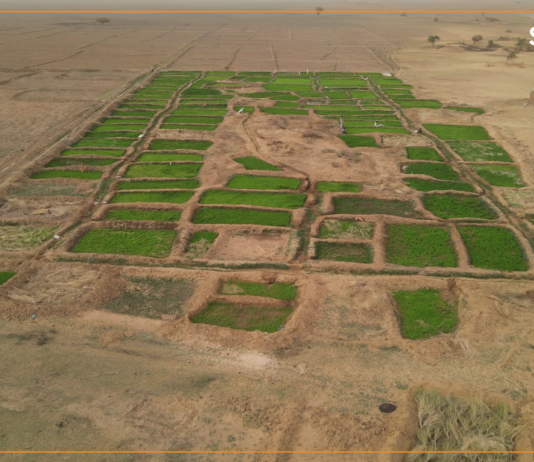 Sahel : le récap de la semaine du 12 au 16 décembre