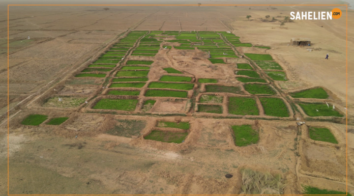 Sahel : le récap de la semaine du 12 au 16 décembre