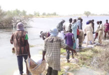 Tombouctou: les agriculteurs menacés par la montée des eaux à Amadia