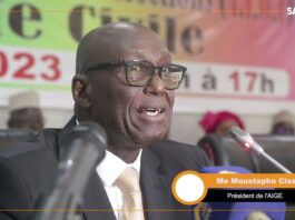 Organisation des élections au Mali : « Le processus n’attend pas »