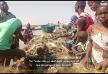 Mopti : la pêche collective face aux défis climatiques et sécuritaires