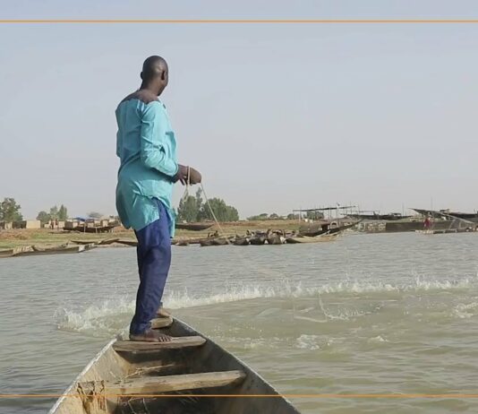Pêche à Mopti : une baisse de 6000 tonnes enregistrées en 2022
