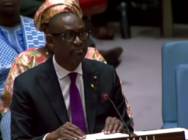 Mali : le gouvernement demande « le retrait sans délai de la MINUSMA »