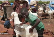 Tabaski 2023 : à Bamako les derniers préparatifs en images