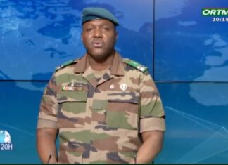 Crise au Niger : le Mali et le Burkina mettent en garde contre « toute intervention militaire » de la CEDEAO