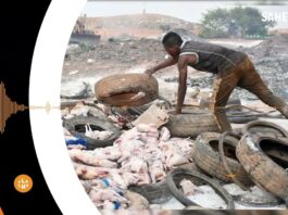 Le récap’ Sahel de la première semaine de juillet 2023