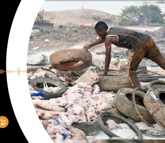 Le récap’ Sahel de la première semaine de juillet 2023