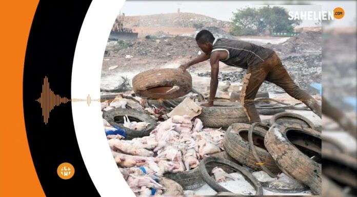 Le récap’ Sahel de la première semaine de juillet 2023