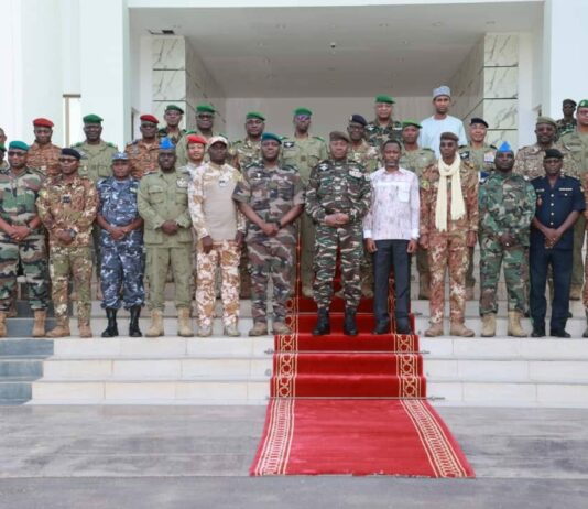 Récap’ Sahel : la sélection des infos de la semaine du 7 au 11 août 2023