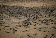 Récap’ Sahel de la semaine du 14 au 18 Août 2023