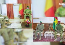 Le récap’ Sahel de la semaine en 7 infos