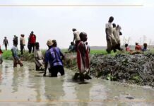 𝗥𝗲𝗴𝗮𝗿𝗱 𝘀𝘂𝗿… les travaux de renforcement de la digue de protection des cultures à Goundam