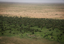 Le récap’ Sahel de la dernière semaine d’août 2023