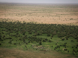 Le récap’ Sahel de la dernière semaine d’août 2023