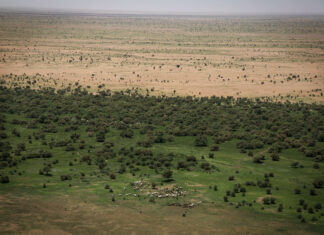 Le récap’ Sahel de la dernière semaine d’août 2023
