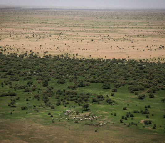 Le récap’ Sahel de la dernière semaine d’août 2023