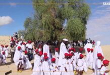 Mali : le rite ancestral de la circoncision à Tombouctou