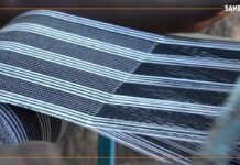 Faso Danfani : un enjeu économique et social pour le Burkina Faso