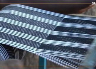 Faso Danfani : un enjeu économique et social pour le Burkina Faso