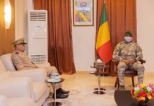 Le récap’ Sahel de cette semaine en 7 infos