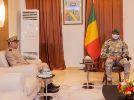 Le récap’ Sahel de cette semaine en 7 infos