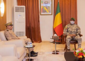 Le récap’ Sahel de cette semaine en 7 infos