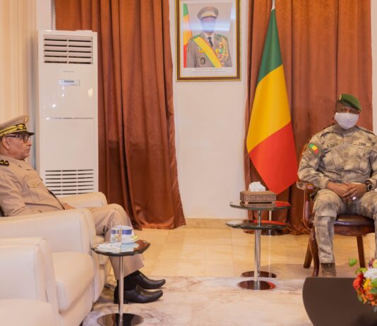 Le récap’ Sahel de cette semaine en 7 infos