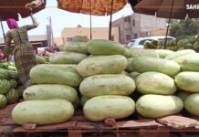 𝗥𝗲𝗴𝗮𝗿𝗱 𝘀𝘂𝗿…le marché de la pastèque