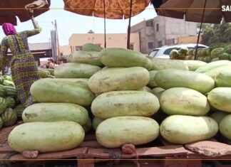 𝗥𝗲𝗴𝗮𝗿𝗱 𝘀𝘂𝗿…le marché de la pastèque