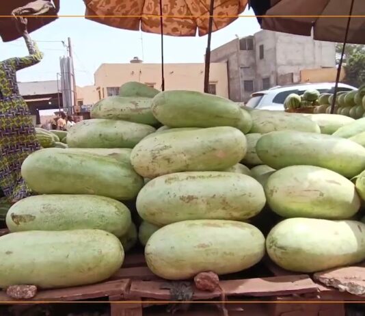 𝗥𝗲𝗴𝗮𝗿𝗱 𝘀𝘂𝗿…le marché de la pastèque