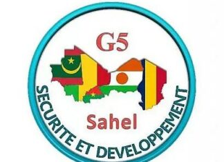 Le Burkina et le Niger se retirent du G5 Sahel