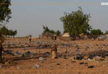 Niger : la dégradation de la ceinture verte de Niamey inquiète